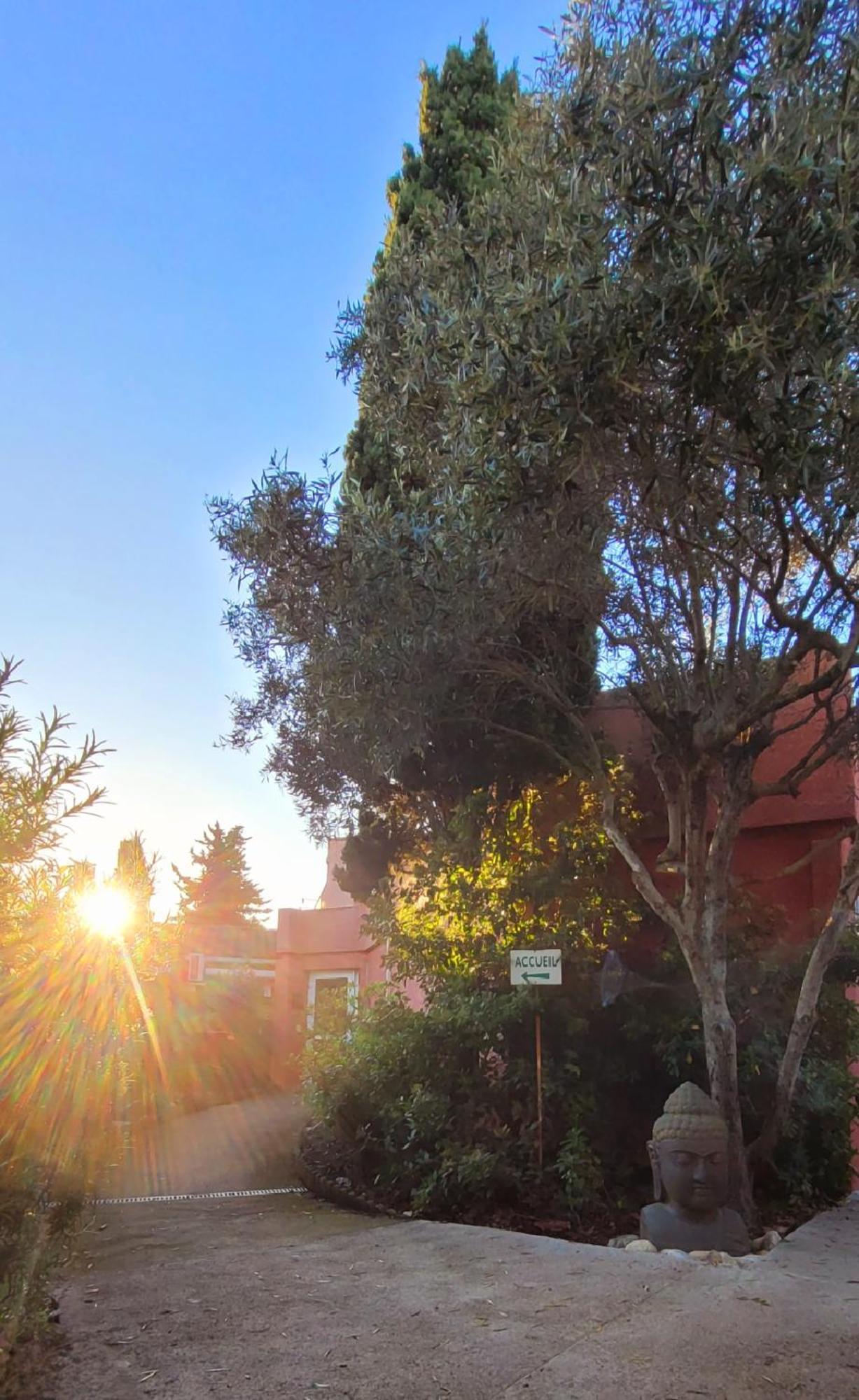 Hotel Tennis International Agde Dış mekan fotoğraf